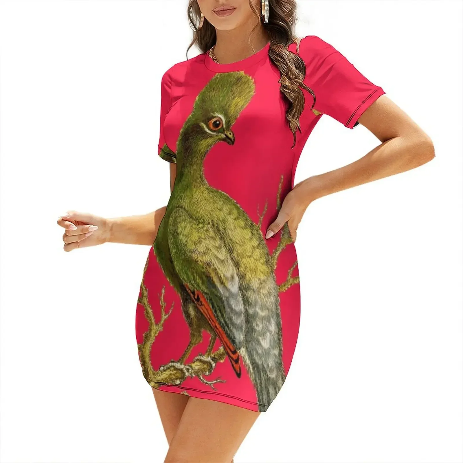 Touraco - صورة عتيقة لطائر HD  - مراجعة Women'S Fashion Dresses Images وسعره