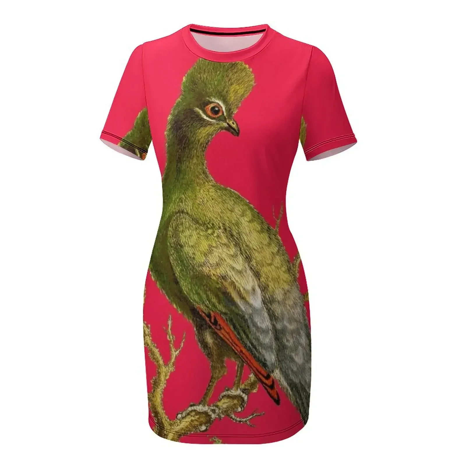 Touraco - صورة عتيقة لطائر HD  - مراجعة Women'S Fashion Dresses Images وسعره